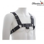 ARNÉS PARA EL PECHO SERIE 1