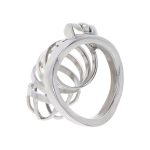 HIDDEN DESIRE - EXTREME JAULA DE CASTIDAD METAL - Imagen 2