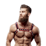 ARNÉS BULLDOG ECOPIEL PECHO HOMBRE NEGRO/ROJO